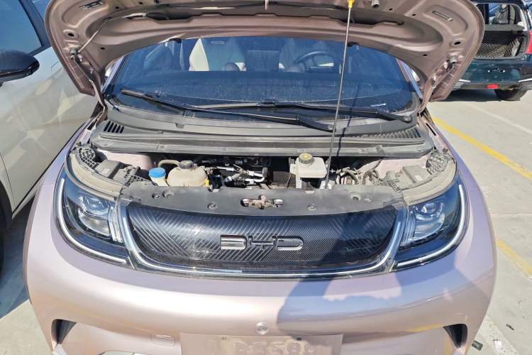 Used BYD Dolphin 2021 405 km Fashion Edition
