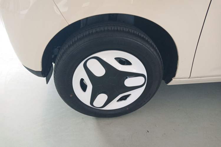 Used  Panda 2025 210 km – Yuanqi Bear
