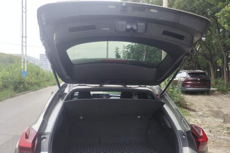 Used Lexus UX New Energy 2020 300e Pure·Joy Edition
