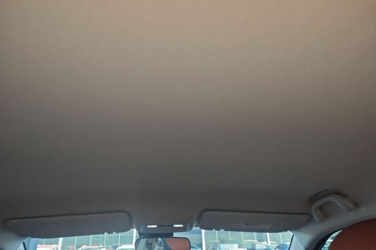 Used  3 2023 505 km Championship Edition
