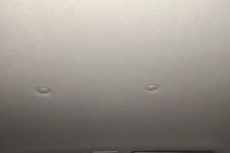 Used FORTHING Lingzhi 2019 Facelifted M5L 1.6L 7-Seater Base Model China VI Standard