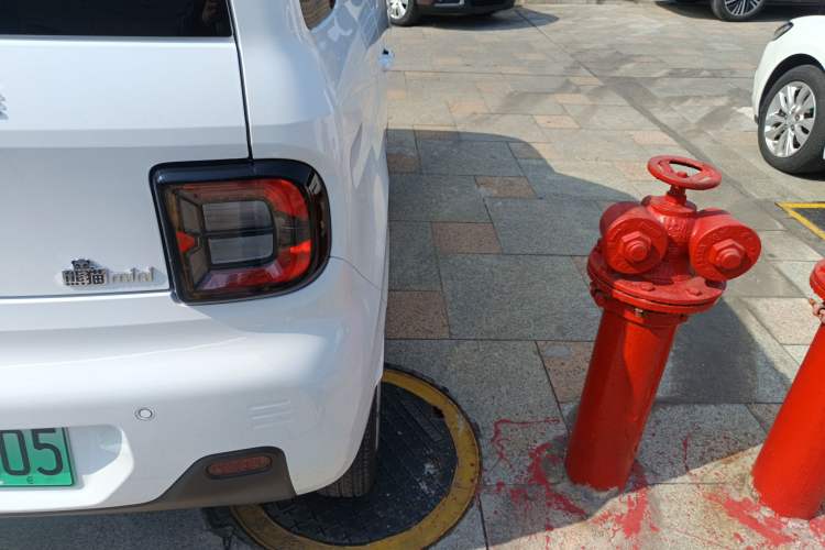 Used  Panda 2024 Panda Mini 200km Endurance Bear
