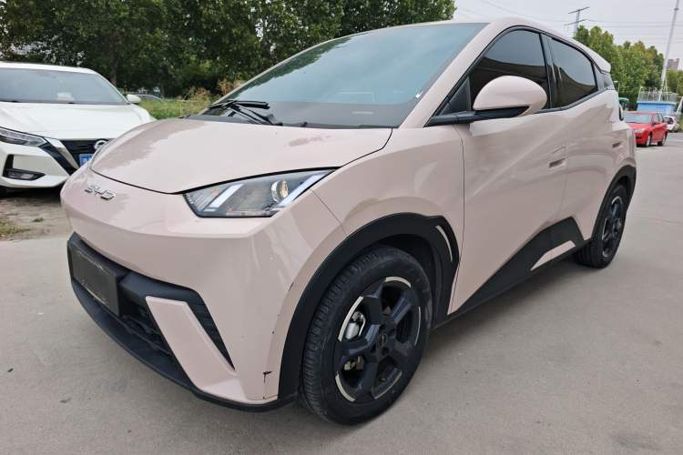 Used BYD Seagull 2023 Active Version
