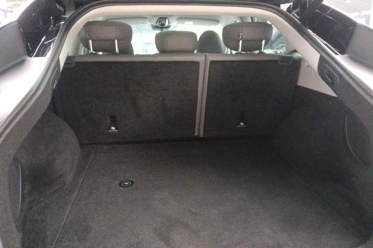 Used  LS6 2023 Max Long-Range Version
