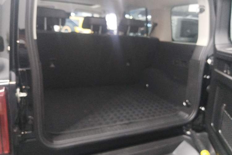 Used Tank 300 2024 2.0T Challenger
