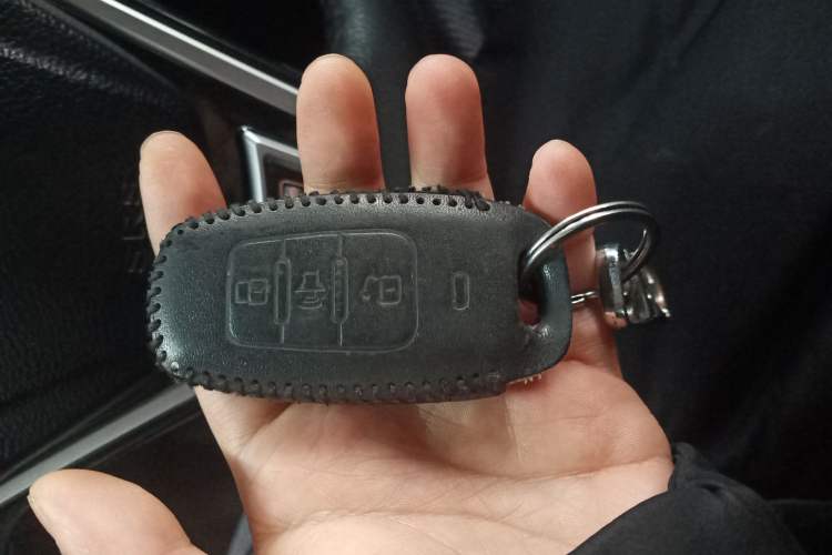 Used Haval H6 Coupe 2016 Blue Label 1.5T Automatic Two-Wheel Drive Elite Model
