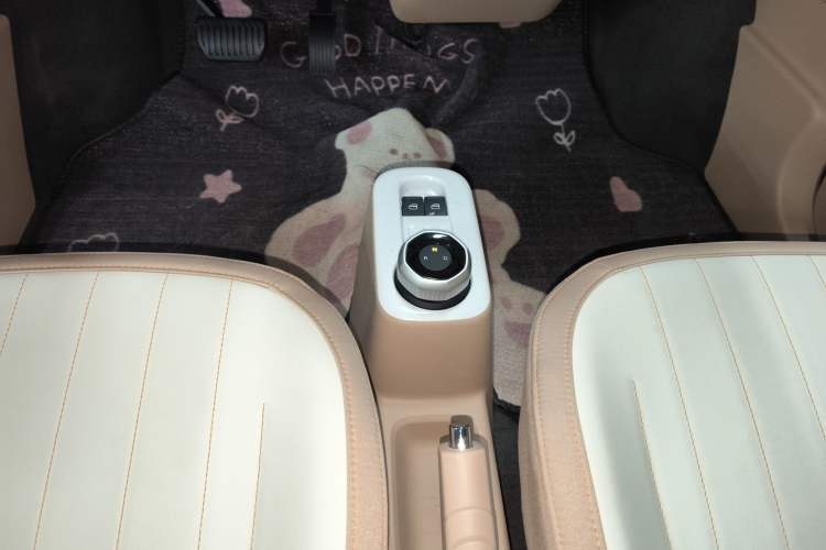 Used  Panda 2024 200km Panda Kart
