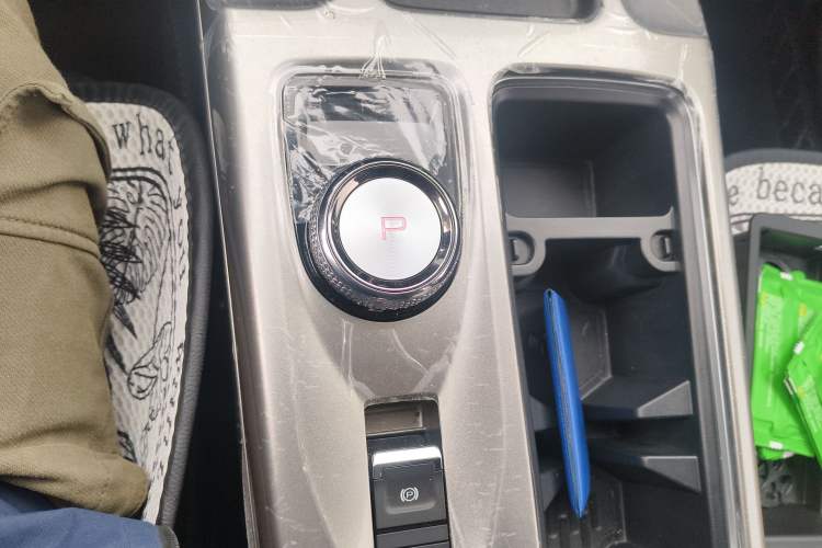 Used Haval DARGO 2024 2.0T DCT Chinese Rural Dog Edition