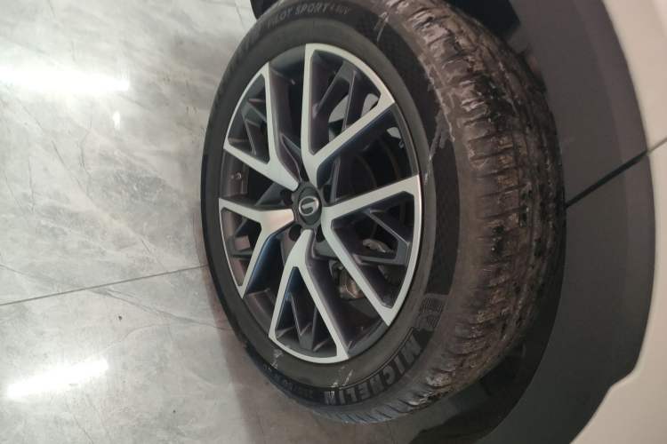 Used GAC Trumpchi GS8 2022 Linghang Series 2.0 TGDI Two-Wheel-Drive Luxury Smart Connectivity Version (7 Seats)
