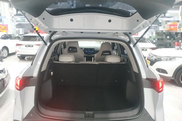 Used BYD Yuan UP 2024 401KM Beyond Edition
