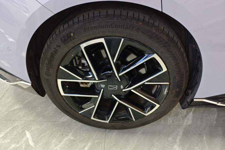 Used  06 2025 Pro Range-Extended Edition
