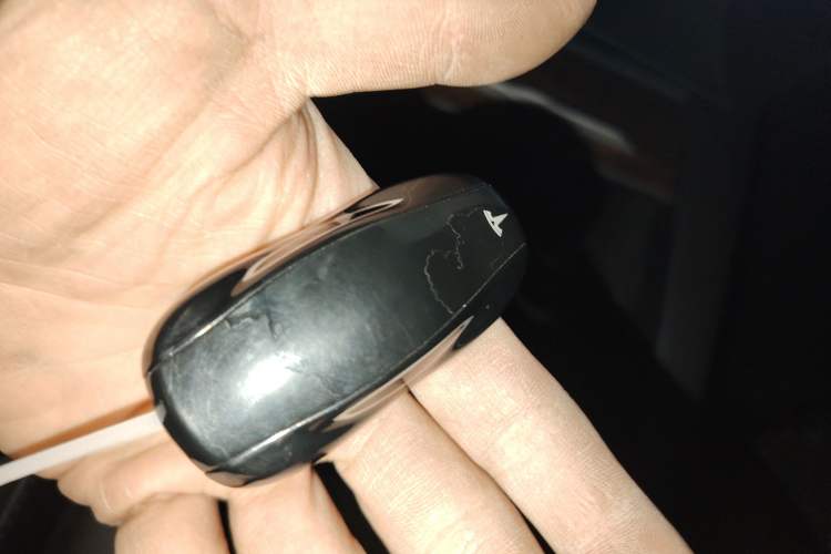 Used Tesla Model S 2019 Long-Range Version
