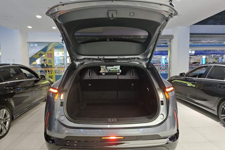 Used  07 2024 Max Extended-Range Edition
