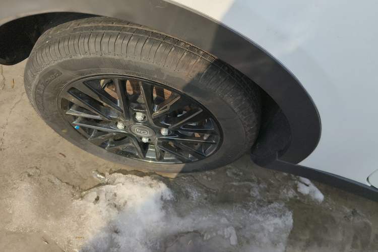 Used Chery Little Ant 2024 Facelifted 321km Beloved Edition