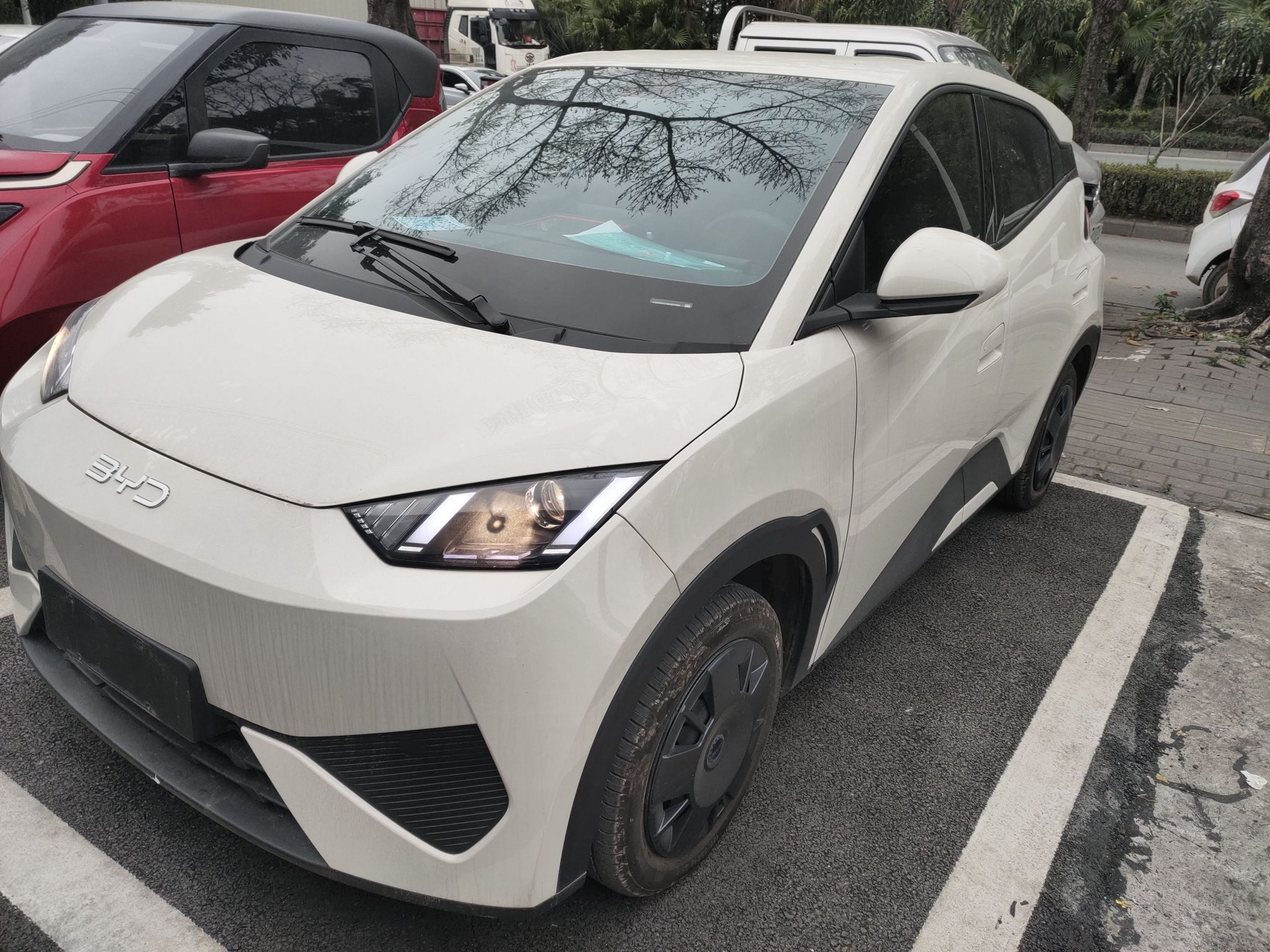 تحت مقدمة السيارة