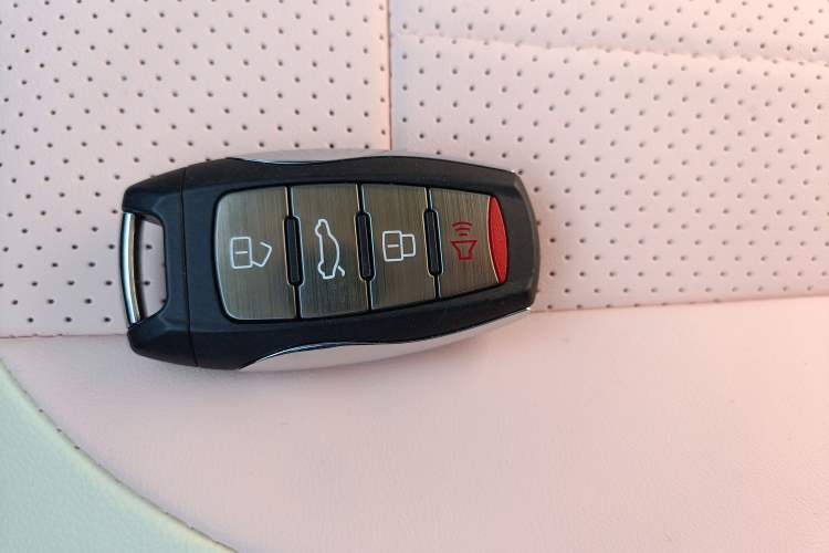 Used ORA Black Cat 2021 301 km Basic Version
