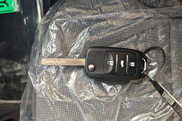 Used  Lumin 2025 205 km Xiangqin Version
