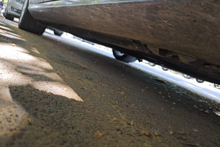 Used Mercedes-Benz CLS 2012 CLS 300 CGI