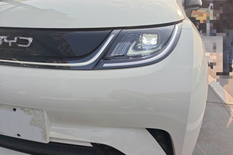 Used BYD Dolphin 2024 Honor Edition 420km Freedom Version
