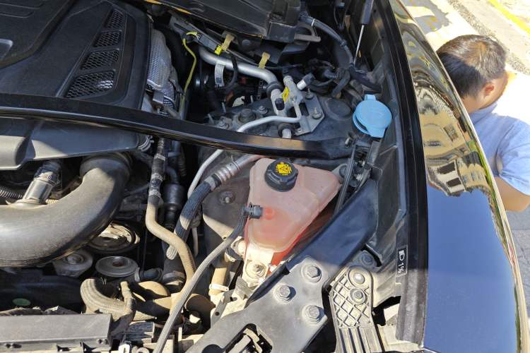 Used Alfa Romeo Stelvio 2017 2.0T 200HP Luxury Edition