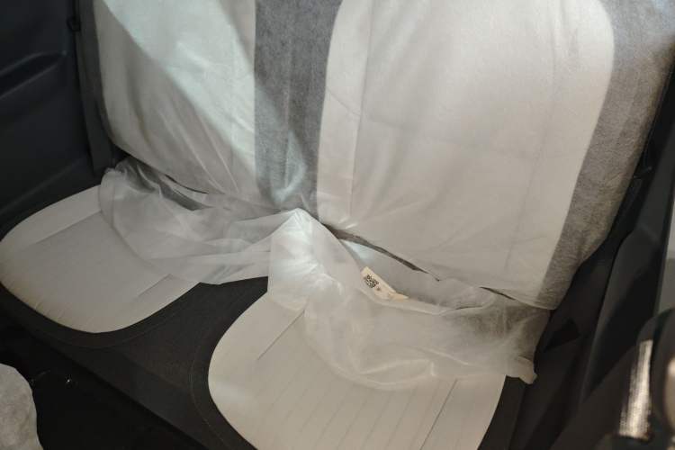 Used  Panda 2025 210 km – Yuanqi Bear
