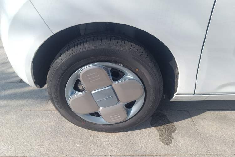 Used  Panda 2024 Panda Mini 200km Endurance Bear