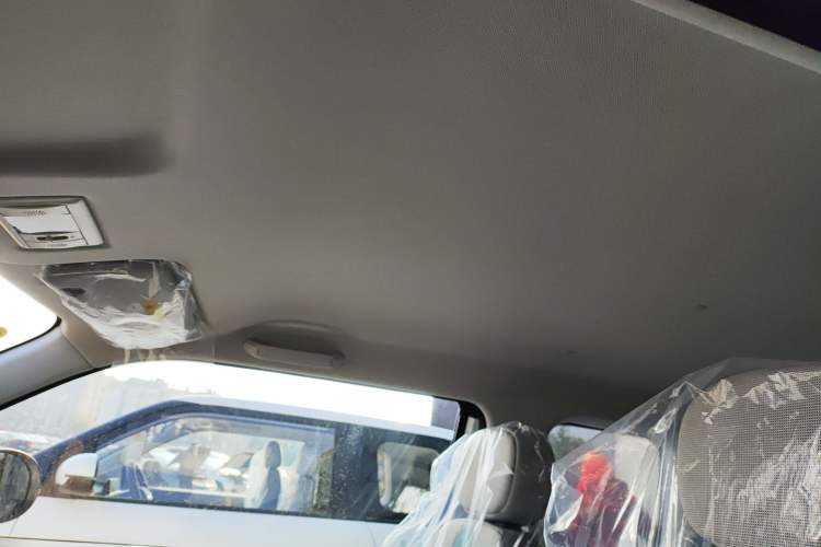 Used  Lumin 2025 205 km Xiangqin Version