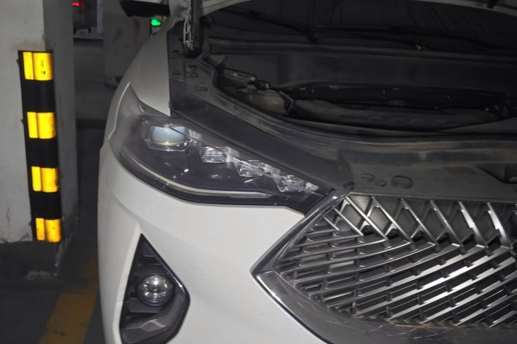 Used Haval F7 2021 2.0T Two-Wheel Drive i-Van
