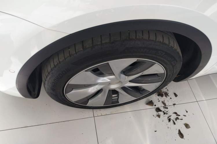 Used Tesla Model Y 2021 Standard Range Rear-Wheel Drive Version
