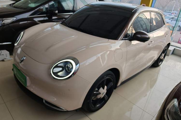 Used ORA Good Cat 2022 400km Standard Range Luxury Version Ternary Lithium