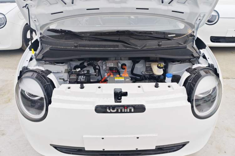 Used  Lumin 2025 205 km Xiangqin Version
