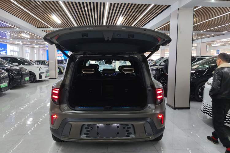 Used  #5 2024 Jungle Realm Limited Edition