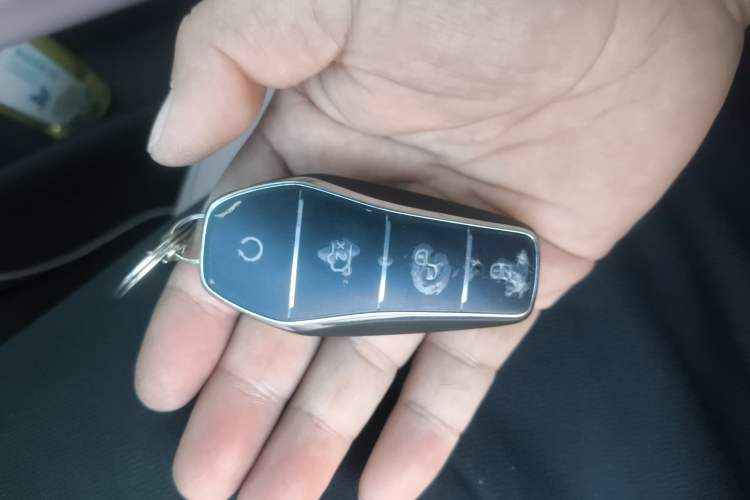 Used BYD Seagull 2025 405 km Flying Edition