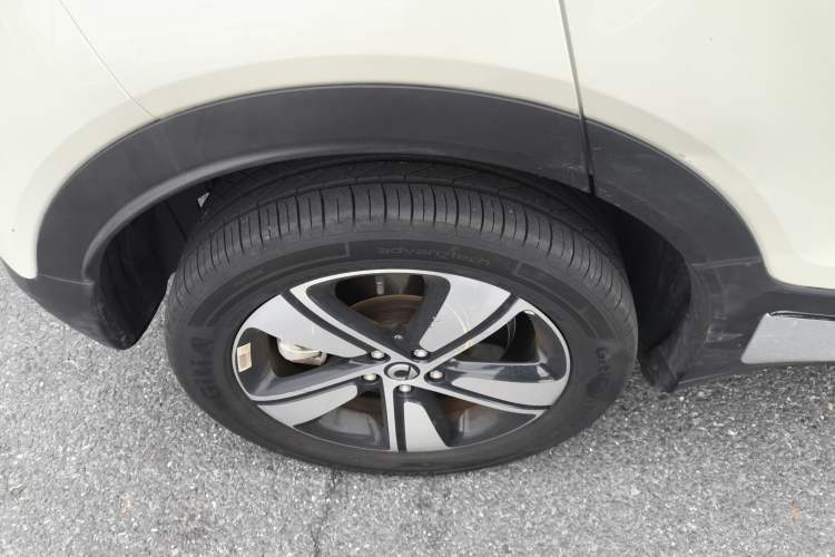 Used  #1 2024 Dynamic Standard Edition
