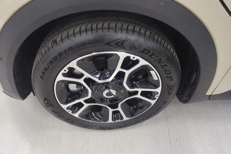 Used  #5 2025 Ultra-Long Range Luxury Four-Wheel Drive Edition