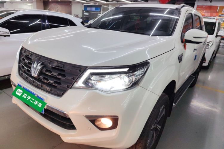 Used Dongfeng Fengdu Paladin 2023 2.0T Four-Wheel Drive Luxury Edition

