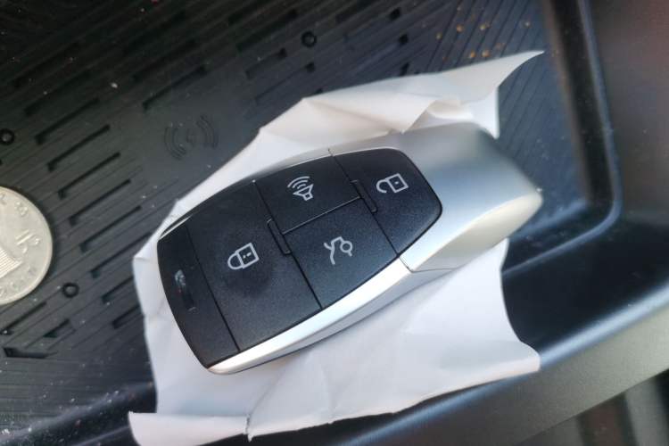 Used  BJ30 2024 1.5T Light Wilderness Pro Edition
