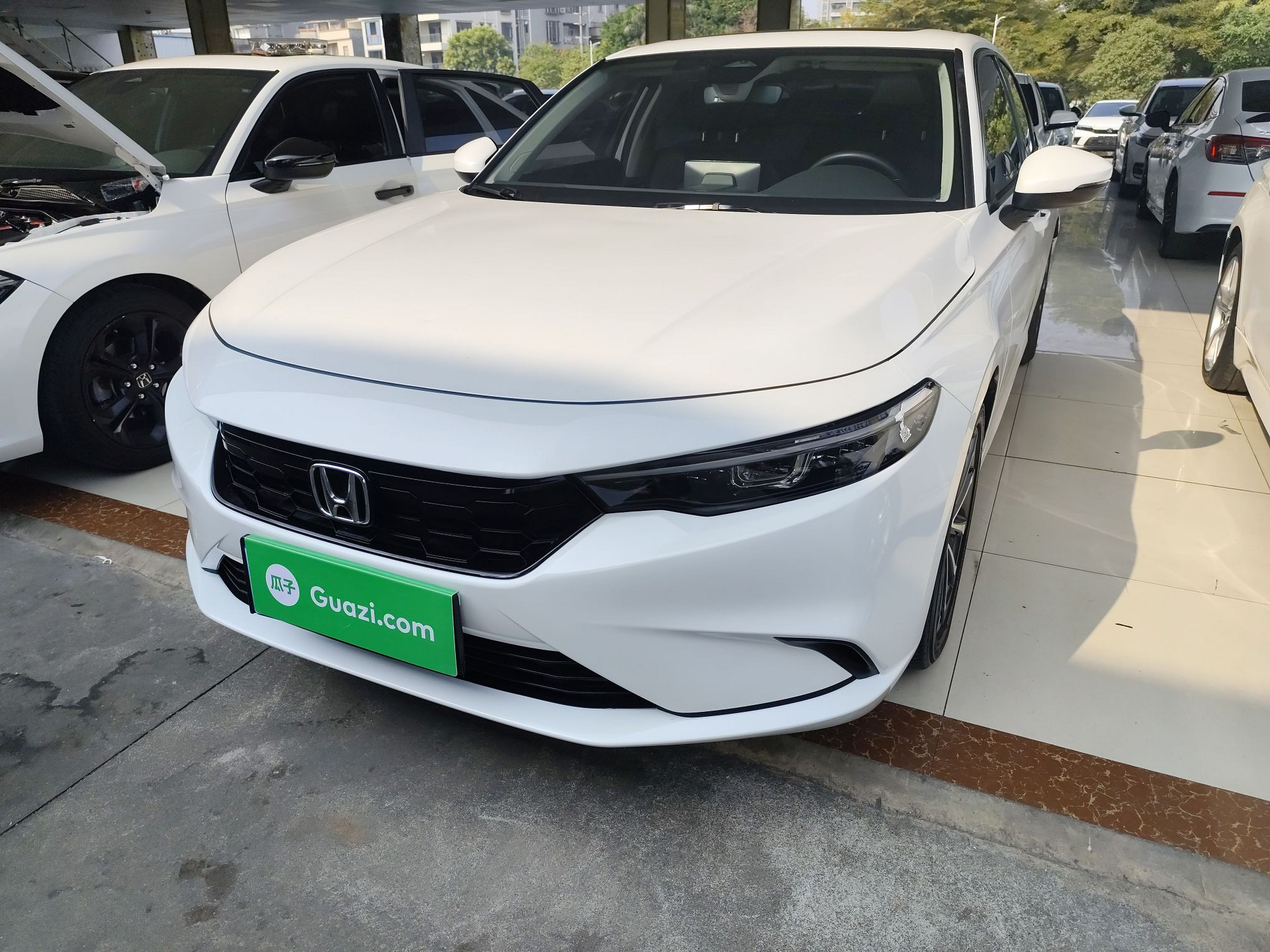 تحت مقدمة السيارة