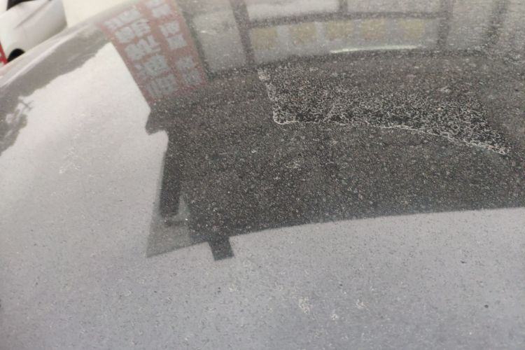 Used  Geome 2025 310km Dream Edition