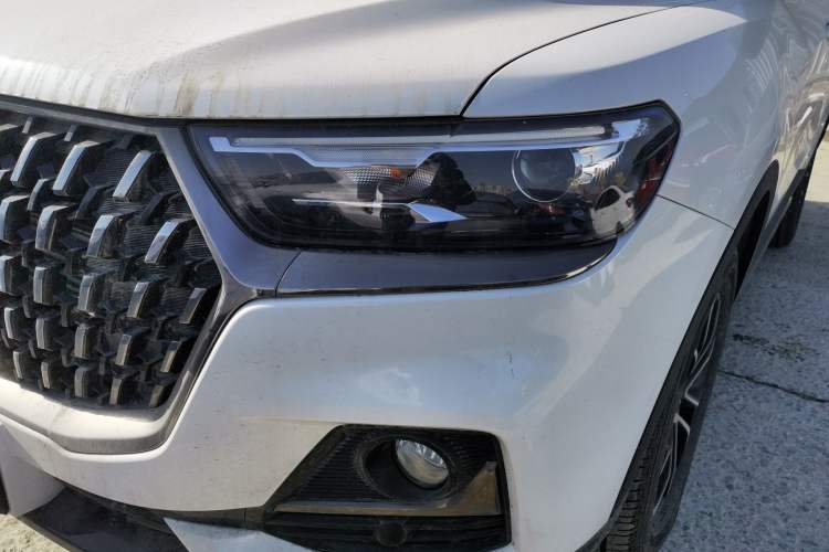 Used Haval H6 2023 National Trend Edition 1.5T Automatic Urban Version
