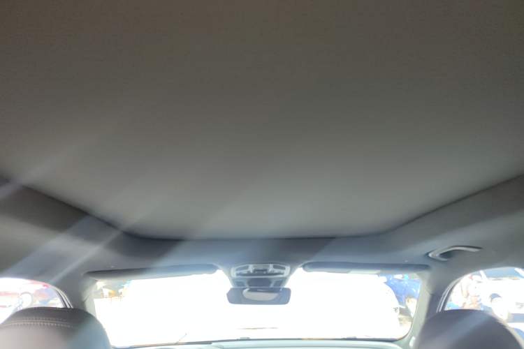 Used Geely Auto Monjaro L 2024 2.0TD High-Power Automatic Two-Wheel Drive Skyline Edition
