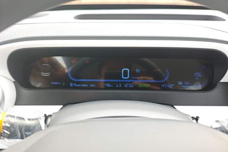 Used  Panda 2025 210 km – Yuanqi Bear