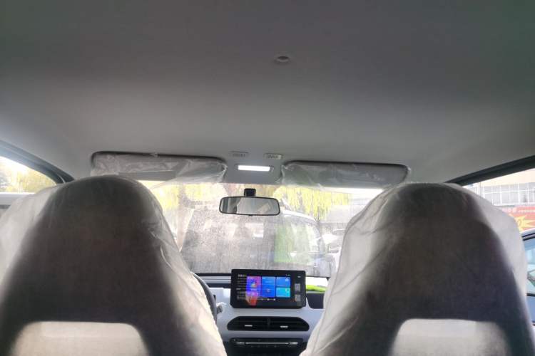 Used  Panda 2024 Panda Mini 200km Endurance Bear
