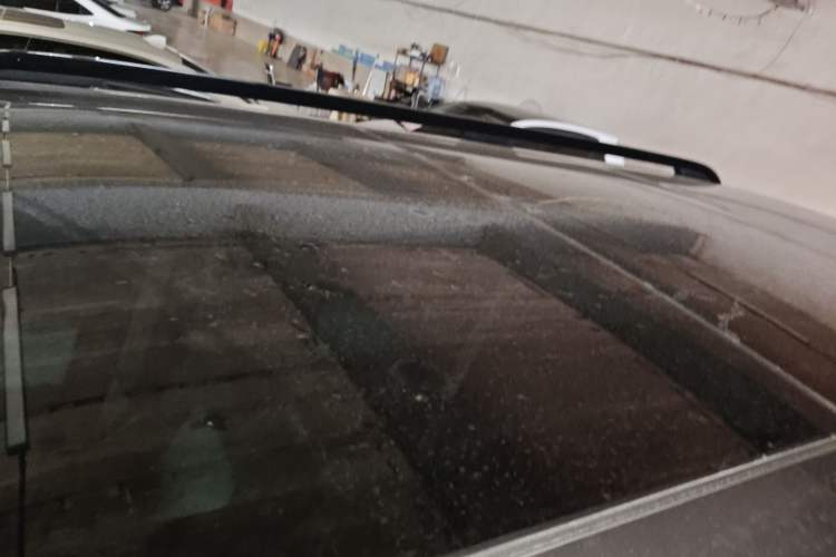 Used  Leopard 5 2023 Navigator Edition
