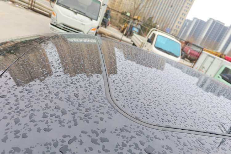 Used Hongqi H9 2024 2.0T Qixiang Private Style Edition