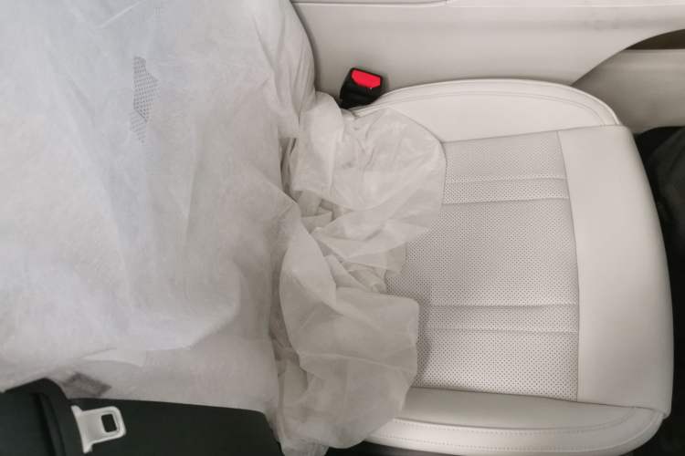 Used  Geome 2025 310km Youth Edition
