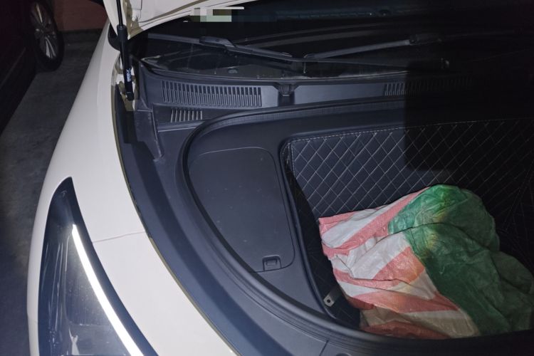 Used  Geome 2025 310km Dream Edition
