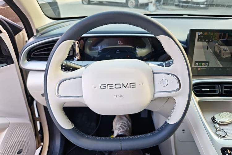 Used  Geome 2025 310km Youth Edition
