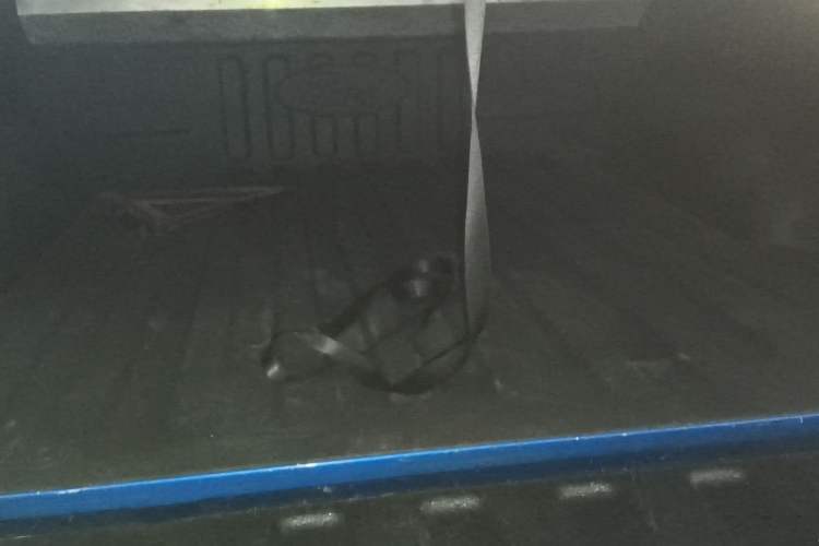 Used Ford F-150 Raptor 2019 3.5T Raptor Performance Enhanced Edition