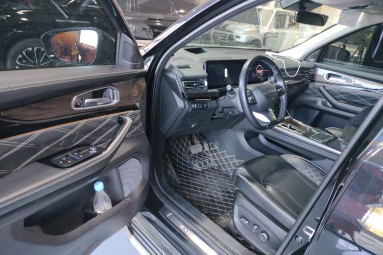 Used  Lanyue 2021 390T Two-Wheel Drive StarRui Edition